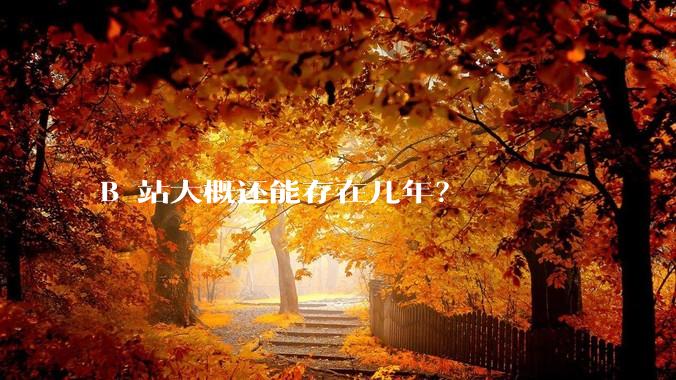 B 站大概还能存在几年？