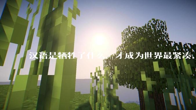 汉语是牺牲了什么，才成为世界最紧凑、最高效的语言？