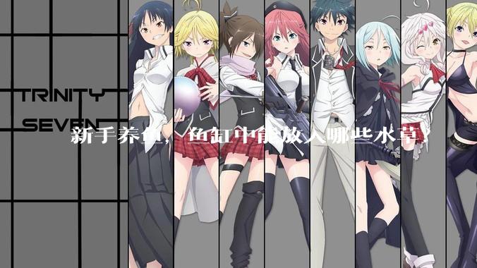 新手养鱼，鱼缸中能放入哪些水草？