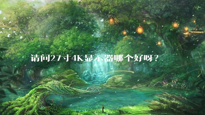 请问27寸4K显示器哪个好呀？